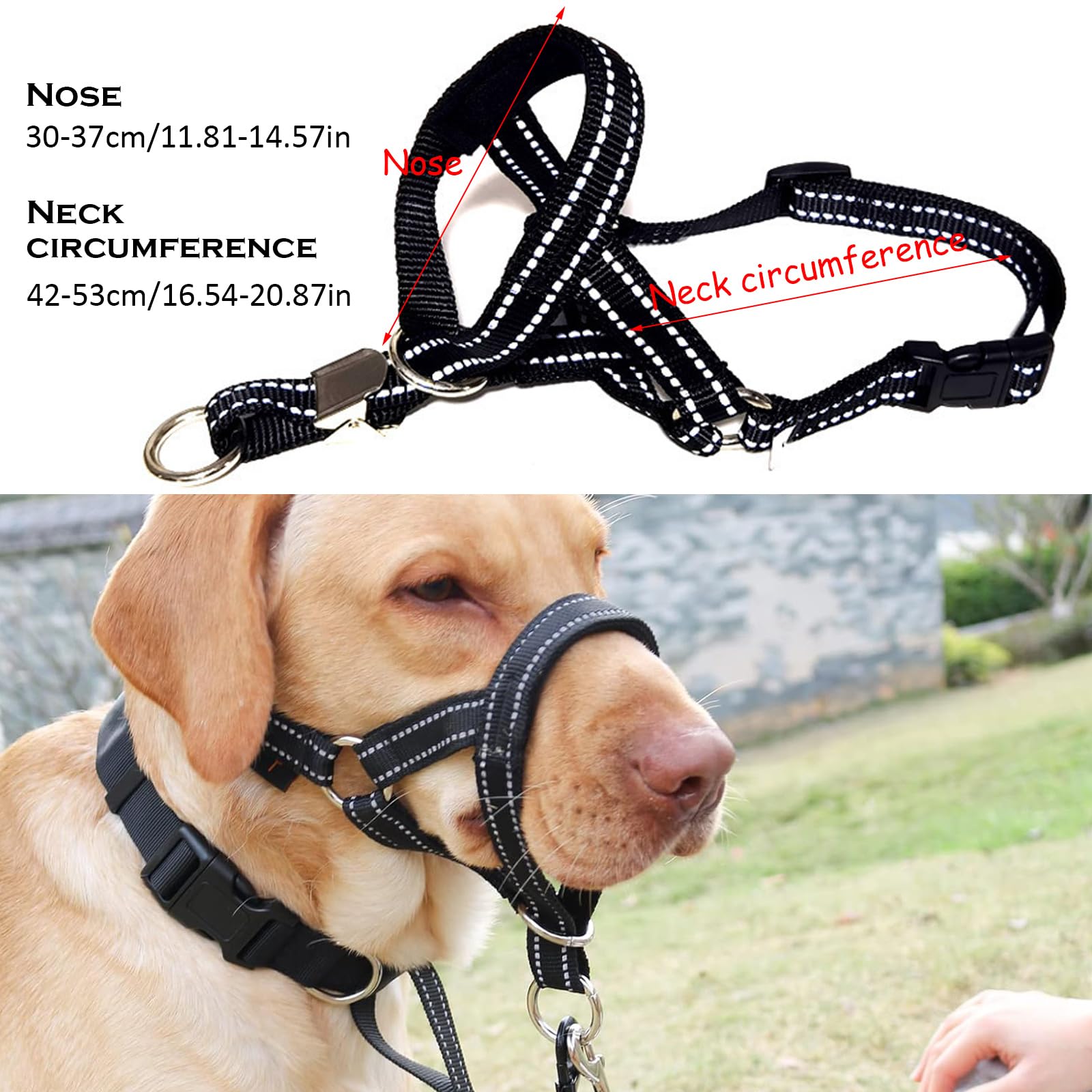 Museliere pour Chiens Grand/Moyen Collier de Dressage pour Chien Sangles Réglables Pet Corrector Boucle de Dégagement Musoliaire Chien Respirant pour Entraînement Quotidien Voyage