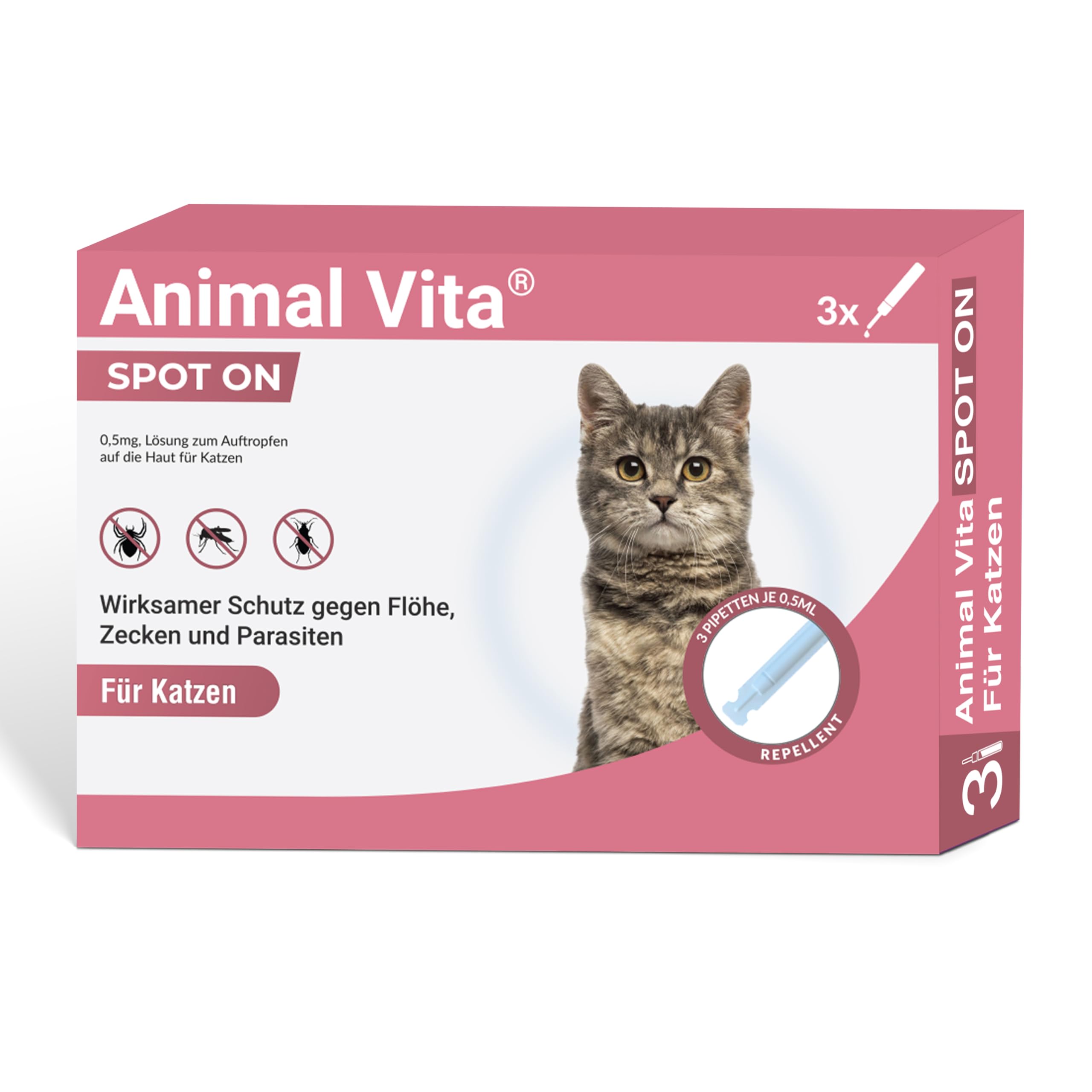 Spot on für Katzen