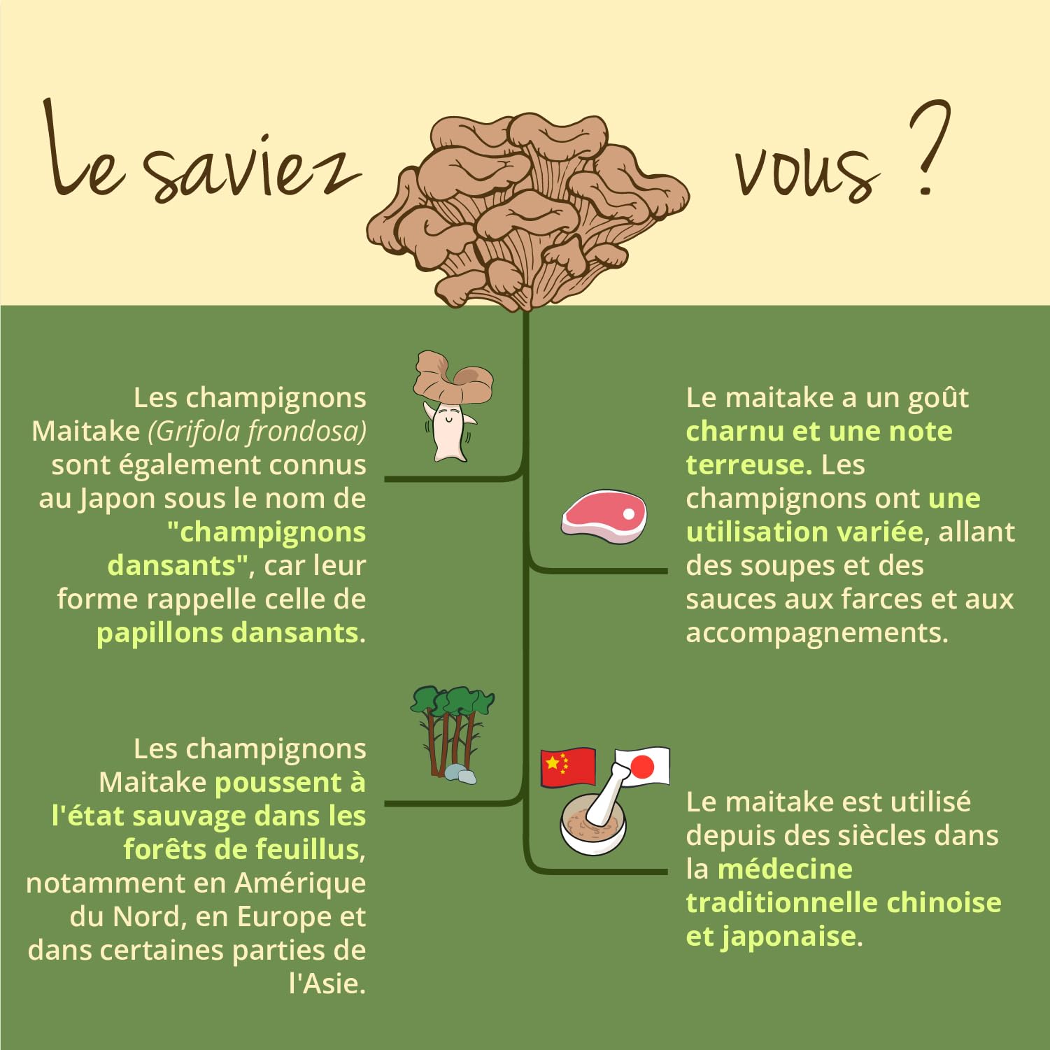 Maitake BIO Vegavero® | Dosage Élevé : 7500 mg | Extrait Standardisé à 50% de Polysaccharides | Antioxydant Naturel + Anti Stress | Sans Additifs | 60 Gélules | VEGAN
