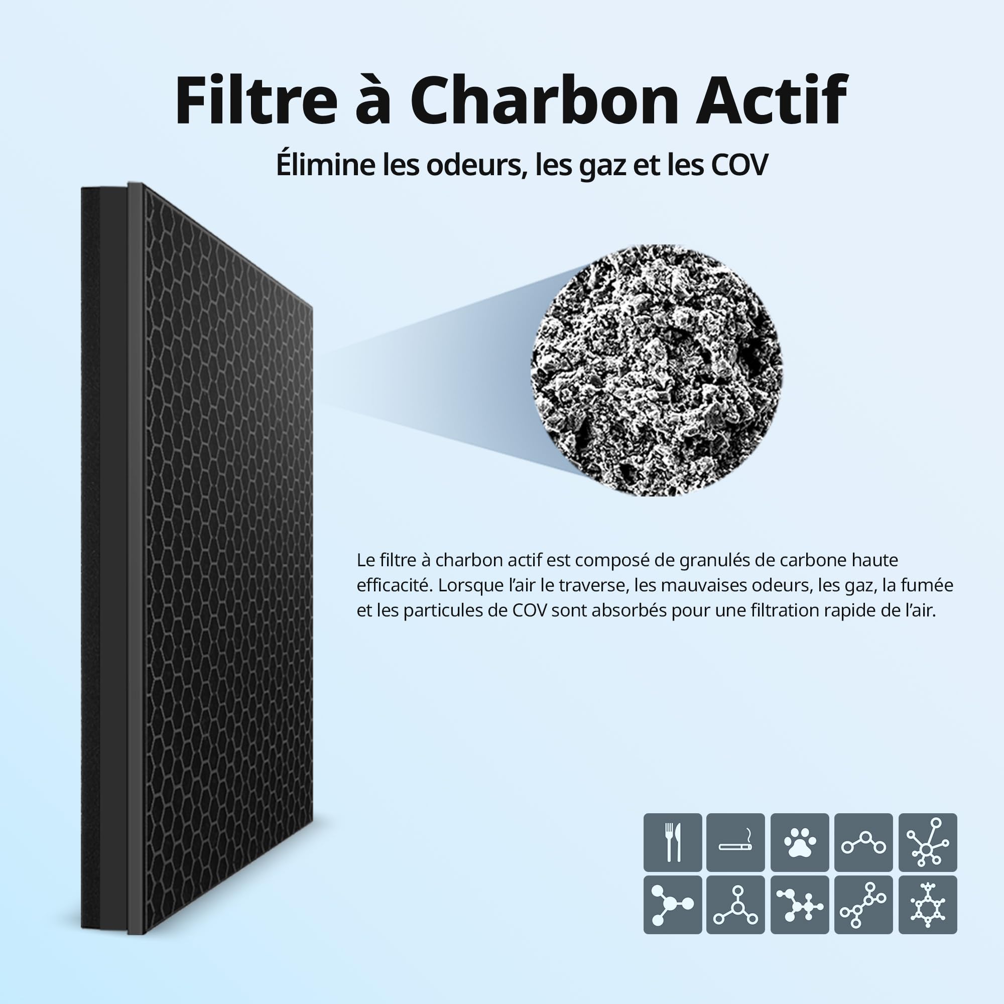 Coway GreenHEPA™ Kit de filtres pour purificateur d'air AP-1019C Airmega 150