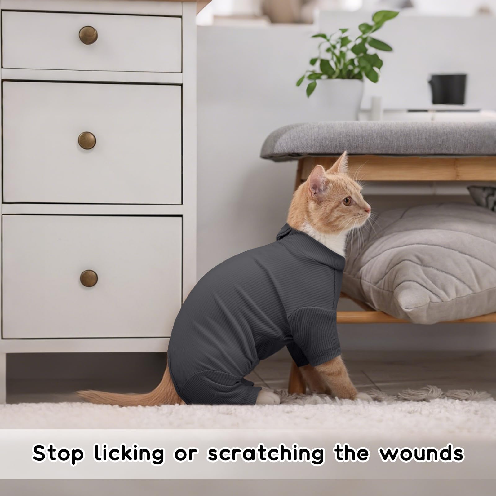 Vêtements pour Chat, Pull à Manches Longues Manteau d'hiver Chat Boby Recuperation Anti-Lécher(Gris Foncé, M)