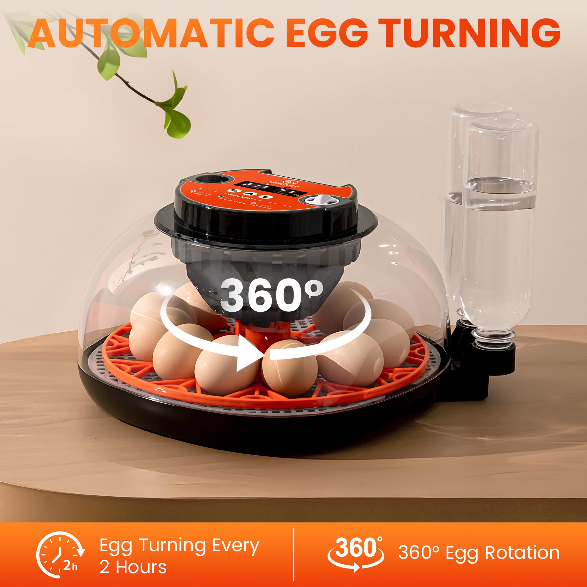 Incubatrice per uova da cova per 12 uova, pollo, anatra, quaglia e oca, con controllo automatico della temperatura e dell'umidità, display digitale a LED, sistema di ricarica automatica dell'acqua