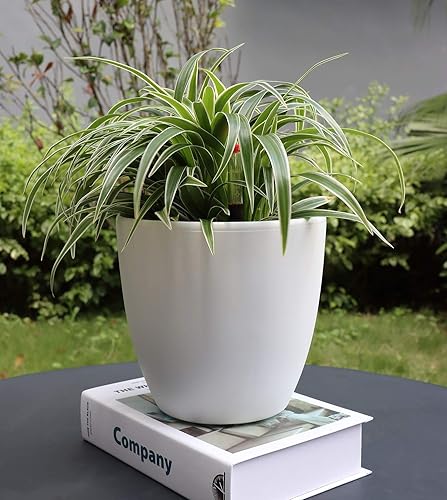 Miniatura 3 de Maceta de riego automático de 7 pulgadas con fibra de coco y piedra de espuma e indicador de nivel de agua, maceta decorativa fácil y moderna para