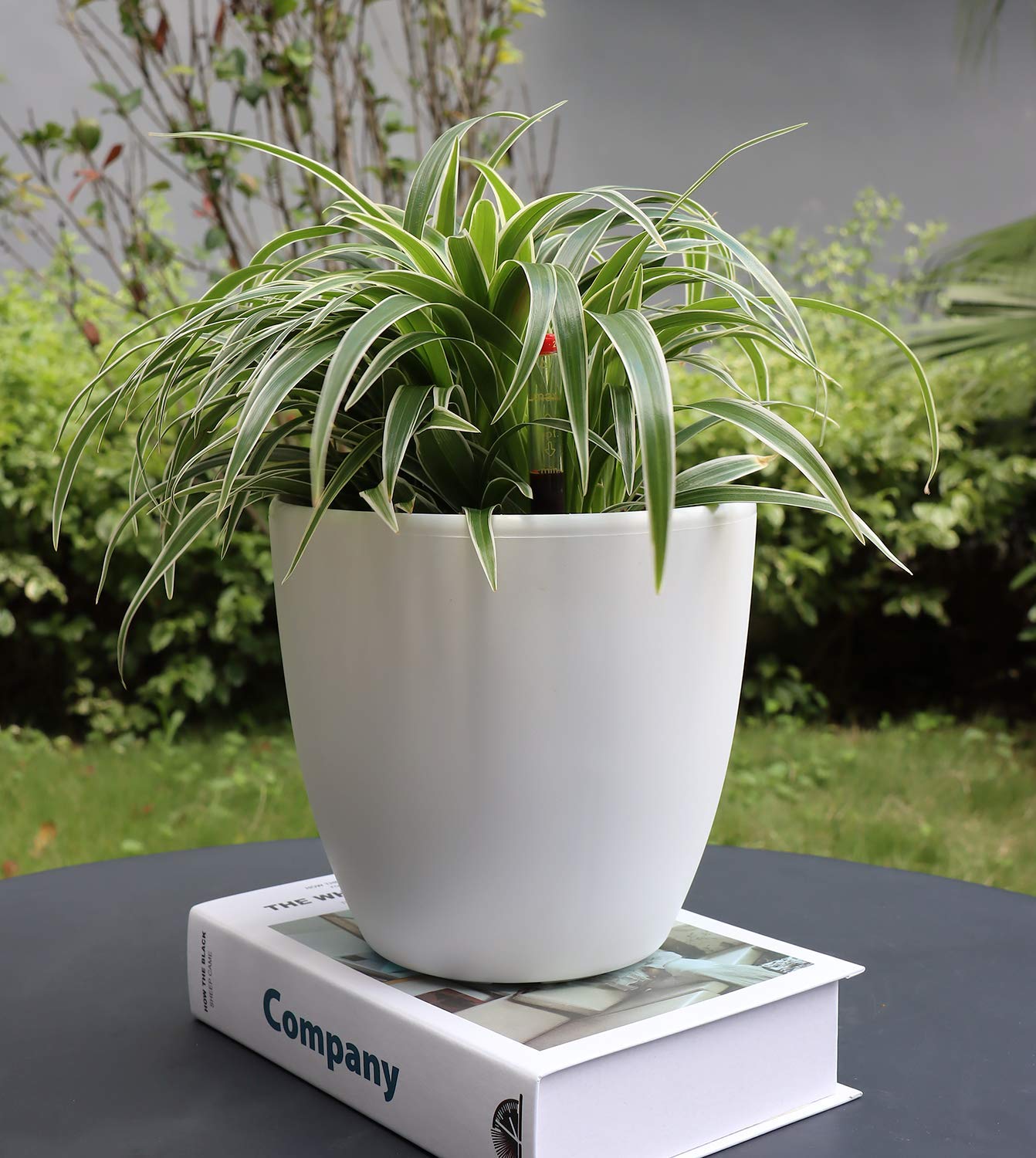 7'' Self Watering Flower Pot with Coir & Foam Stone & Water Level Indicator Easy Modern Decorative Planter for Dill PachiraMacrocarpa Herbs Succulents (Matte White)