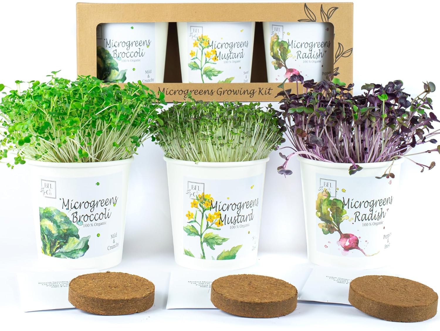Microgreens Growing Kit Indoor | Includes 3 Reuseable Paper Pots, Microgreens Organic Broccoli, Mustard, Radish Seeds | Micro Greens Growing Kits with Coco Coir Soil Puck | 3 Pack Microgreen Seeds