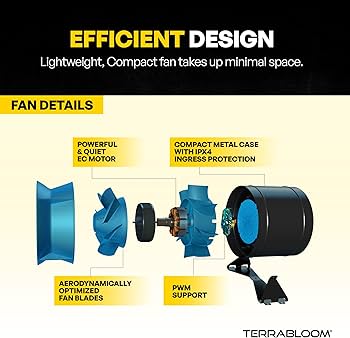 impact　E-Ⅱ STREAM FM STBLK ESP E-II Stream FM STBLK See-Thru Black Electric Bass Guitar