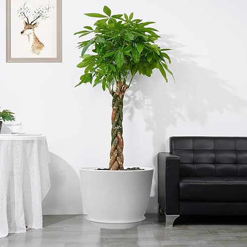 Miniatura 6 de 12inch Large Plant Pot, Modern Plastic Planter with High Driange Holes and Saucer for Indoor Outdoor Garden Plants and Flowers, White