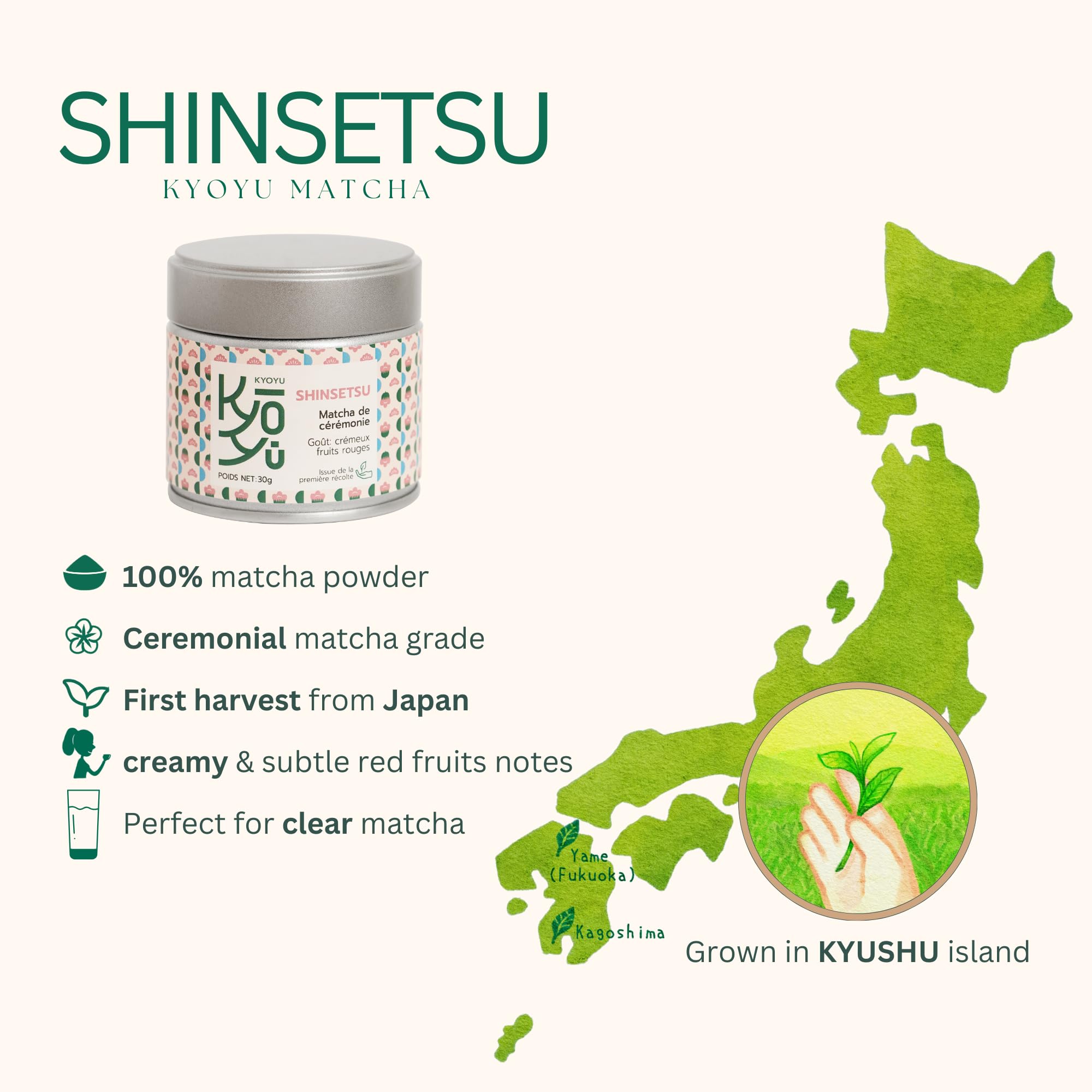 Matcha Japonés Grado Ceremonial – Tencha cultivado en la isla de Kyushu – Sabor Suave y Cremoso – 30g – Kyoyu Shinsetsu