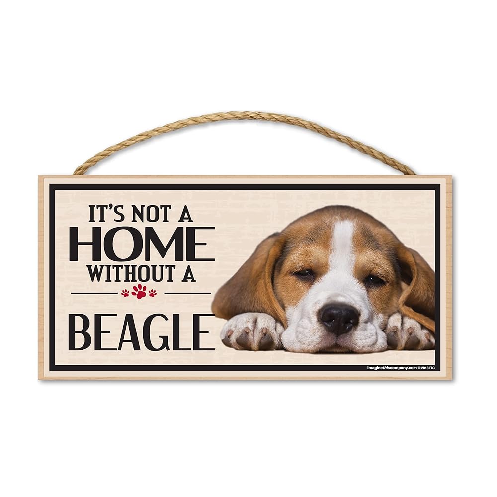 30 Best Gifts for a Beagle Owner - iHeartDogs.com 15 71uksbVdQaS. SL1000