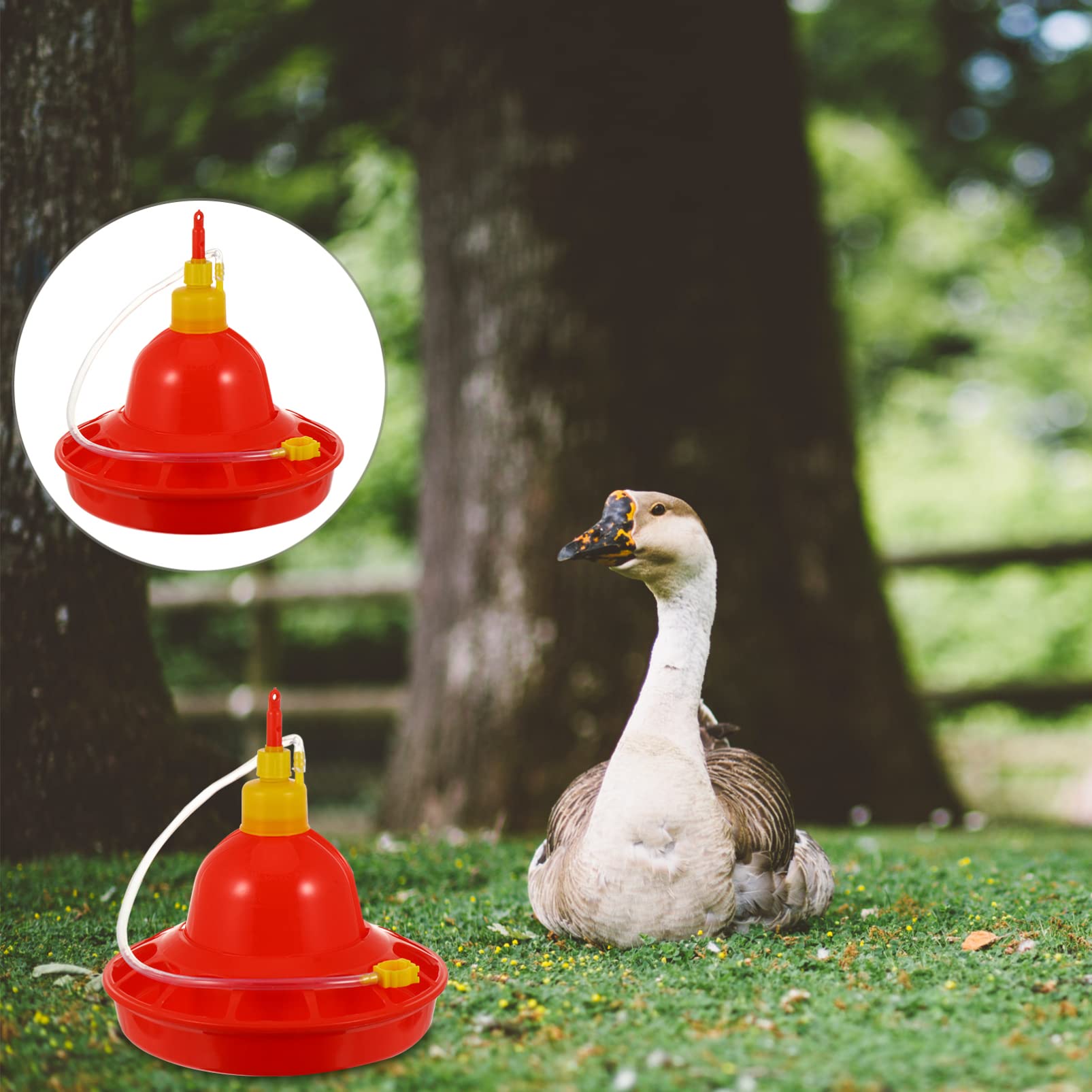 Abbeveratoio Automatico per Polli e Oche in Plastica, Resistente al Freddo al Calore, per Uso Interno ed Esterno, Rosso