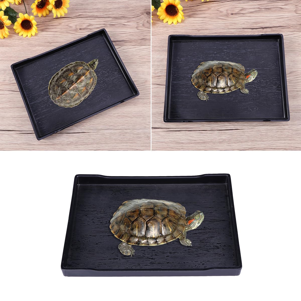 POPETPOP Große Reptilien Wasserschale Und Futterschale Mit Natürlicher Holzmaserung Kippstabil Und Unzerbrechlich Flaches Design Für Schildkröten Baden Und Füttern 9.65X7.09X0.79 Zoll