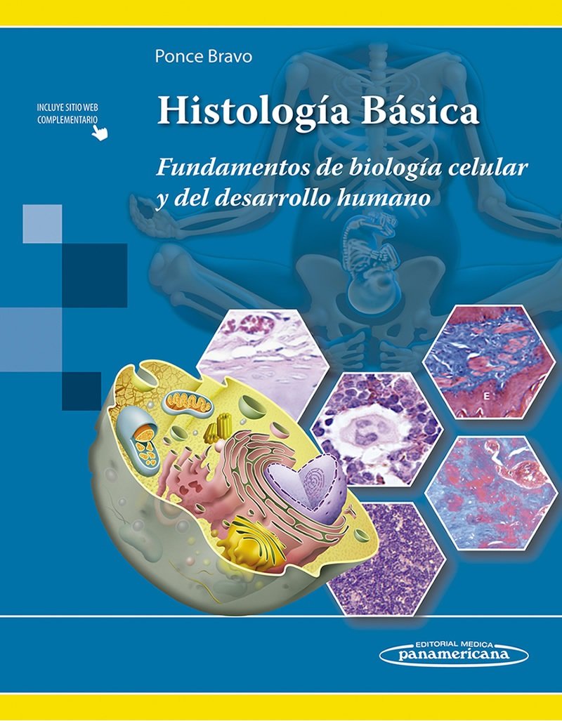 HISTOLOGÍA BÁSICA.Fundamentos de biología celular y del desarrollo humano.