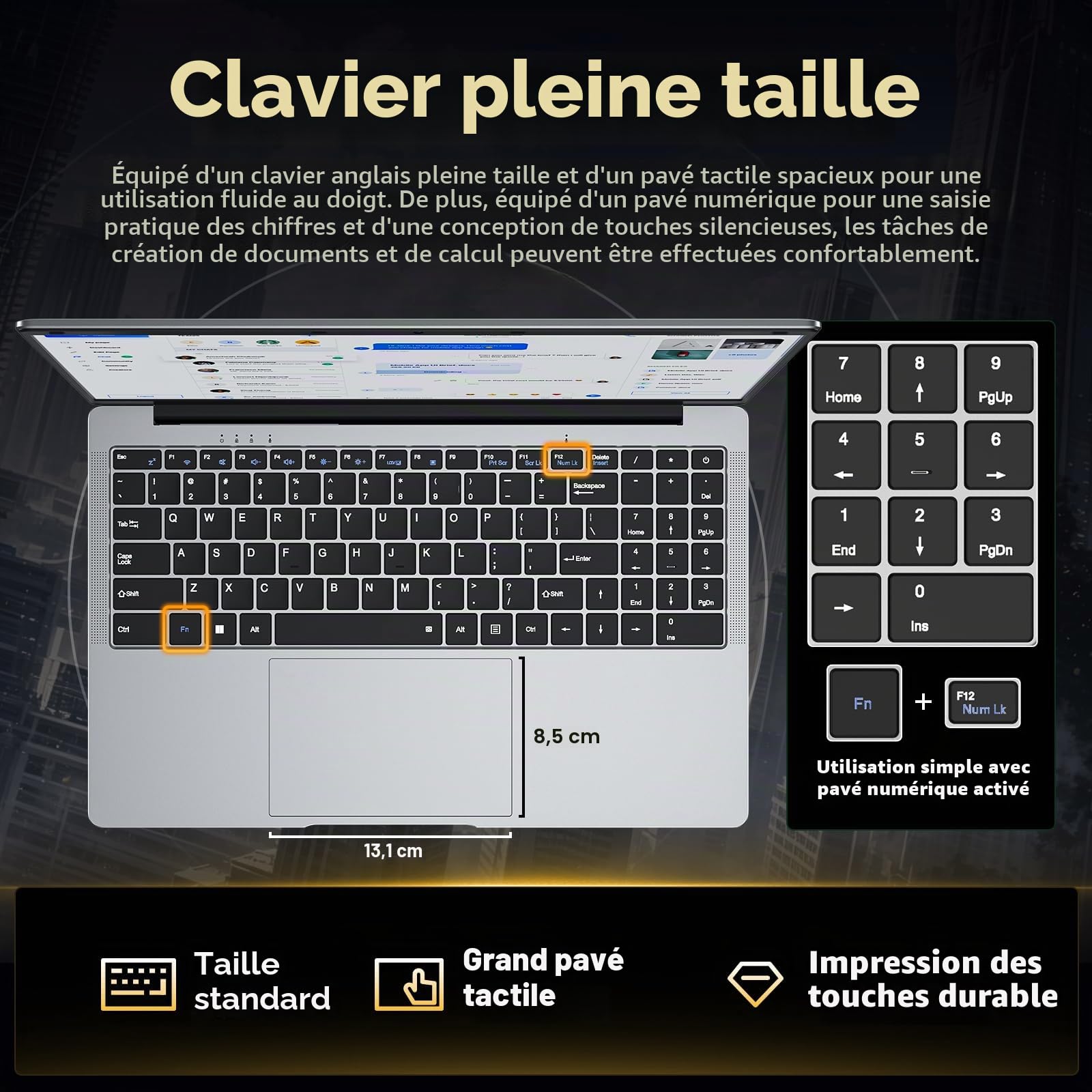 Ordinateur Portable 15,6" avec 12 Go de RAM,SSD 256 Go,écran 100% sRGB,processeur N4000, Wi-FI 5 Double Bande,Bluetooth 4.2, USB-A, HDMI, écran FHD 1920 x 1080 (12, GB)