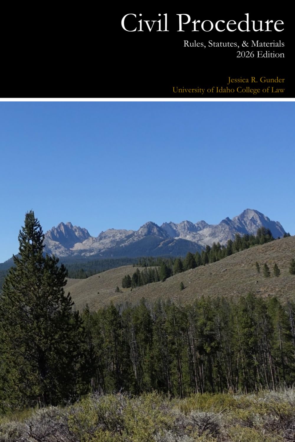 Civil Procedure Rules, Statutes, & Materials