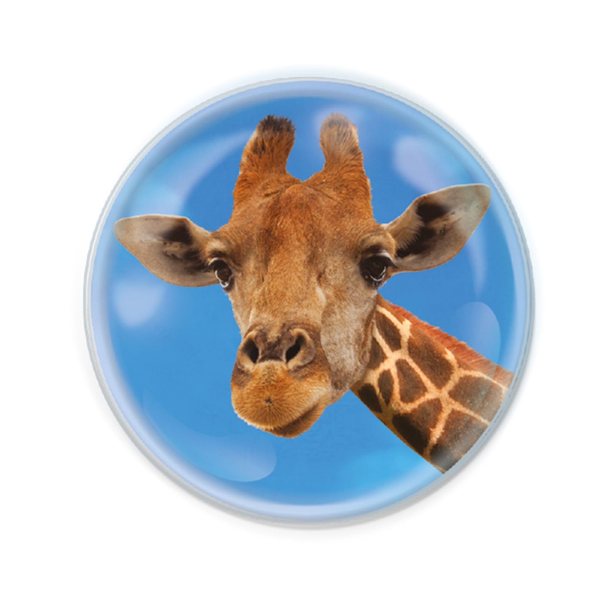 Deluxebase Magnidome Giraffe Fridge Magnet – Crystal Glass Dome Animal Magnets for Fridges, Decorative Strong Magnet for Kitchen Accessories, Novelty Gifts and Cute Home Decor.