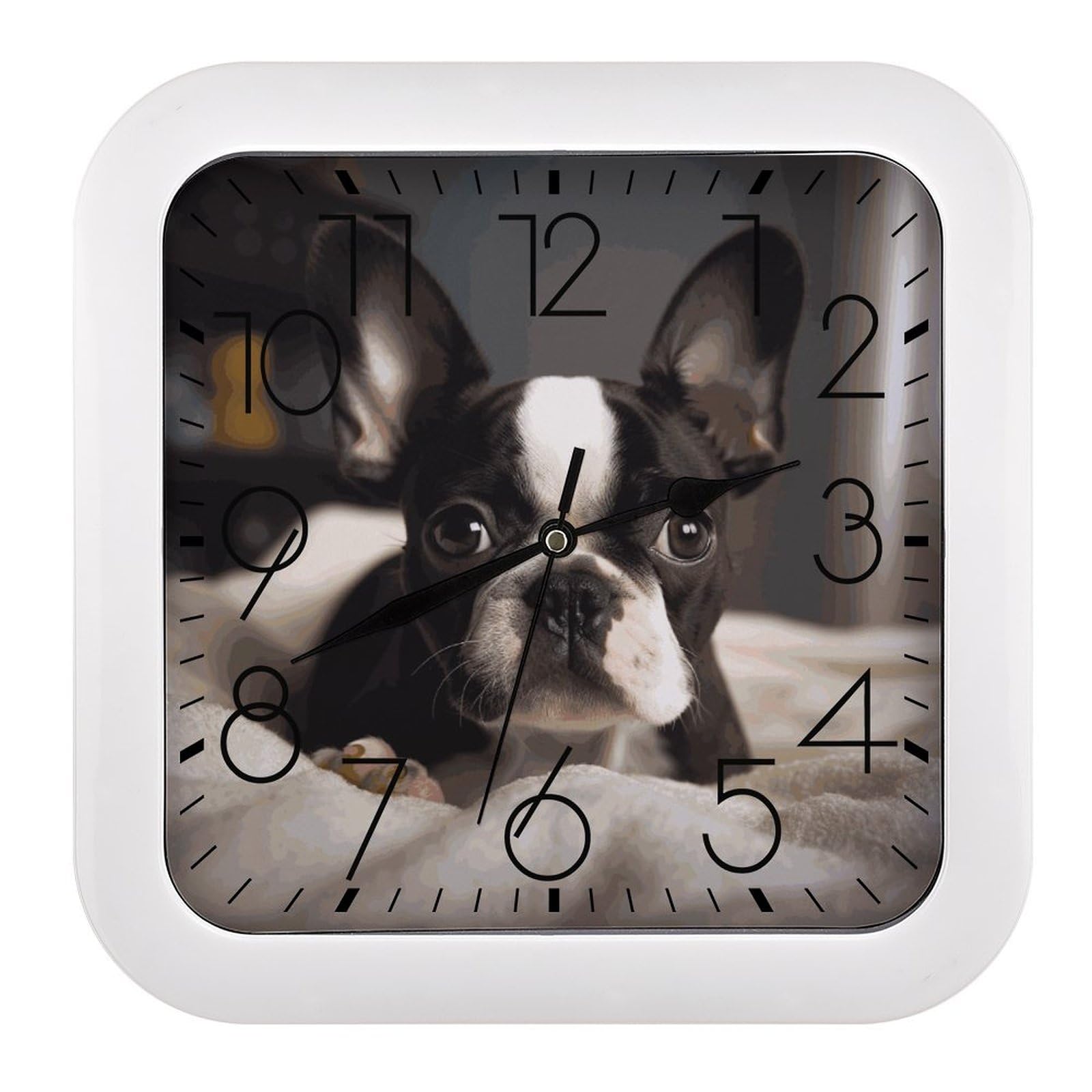 Horloge murale silencieuse carrée 25,4 cm sans tic-tac à piles motif chien pour classe et maison