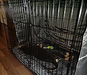 Review Image by brittanee brittanee