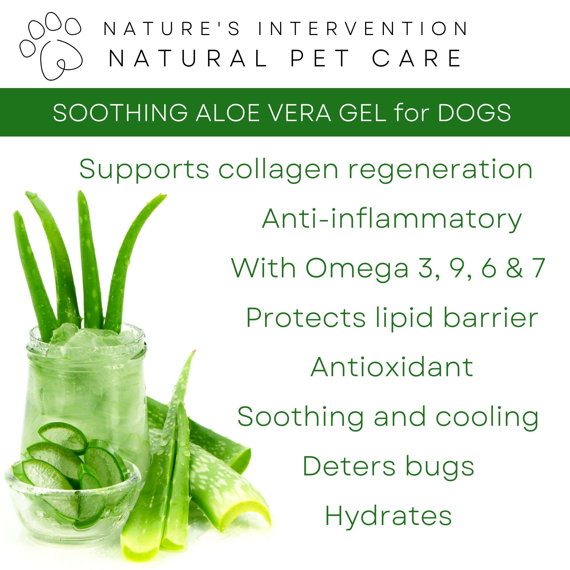 NATURE'S INTERVENTION 99% Natural Soothing Aloe Gel for Dogs - 100g - Plastic-Free Jar with Aluminium Lid - Aloin-Free Aloe Vera & Neem - Image 4