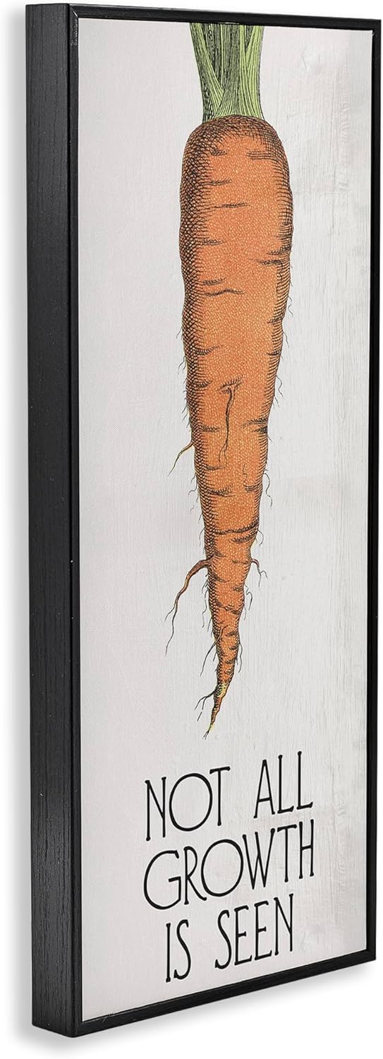 Stupell Industries Carrot & Inspiring Growth Black Framed Giclee Wall Art Design by Daphne Polselli, 10 x 24