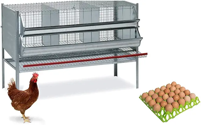 Gabbia per Galline Ovaiole Motisi con 3 Celle, Abbeveratoio e Mangiatoia
