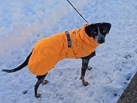 Review Image by charlie charlie