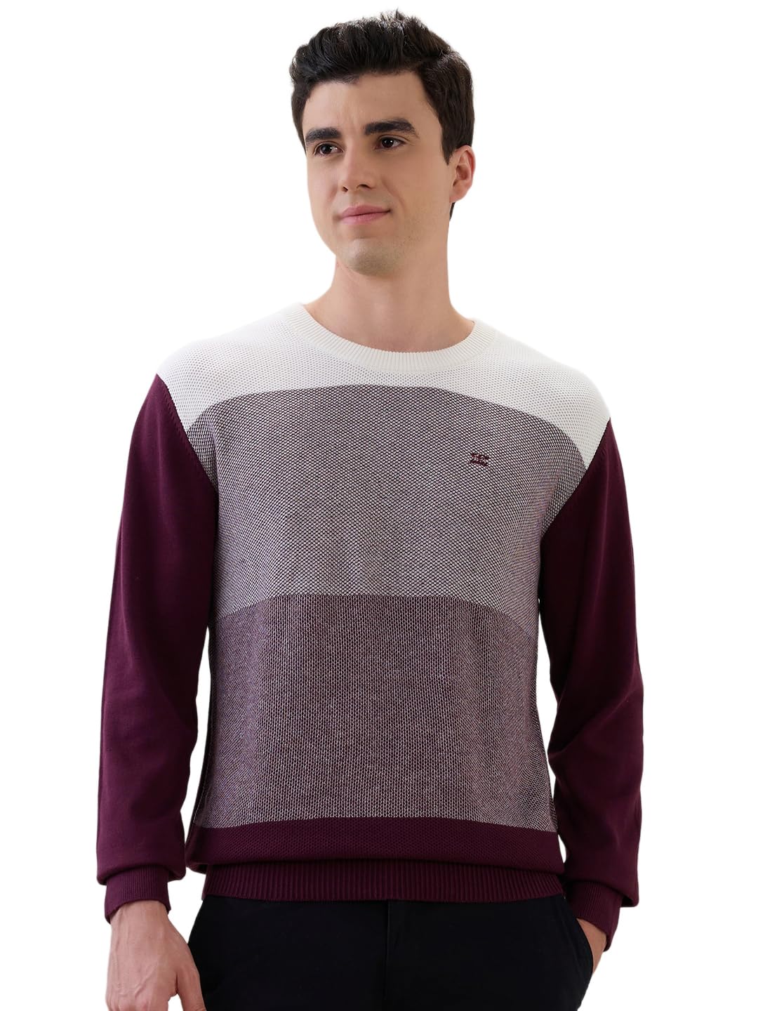 Men Regular Fit Jacquard Pattern Pure Cotton Full Sleeve Round Neck Casual Sweater Brown-image-23