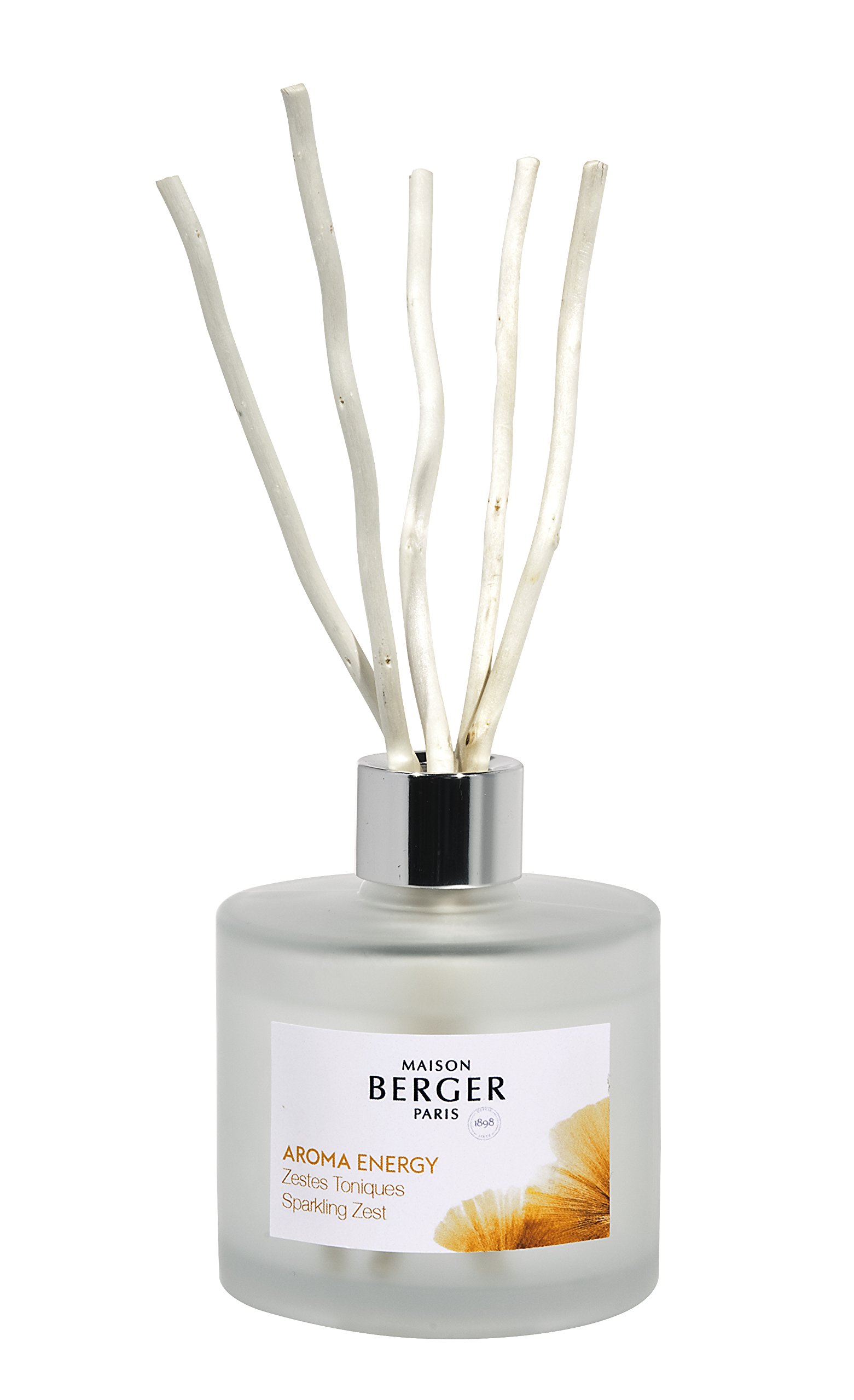 Lampe Berger Maison Berger Paris - Aroma Energy Scented Bouquet- Sparkling Zest