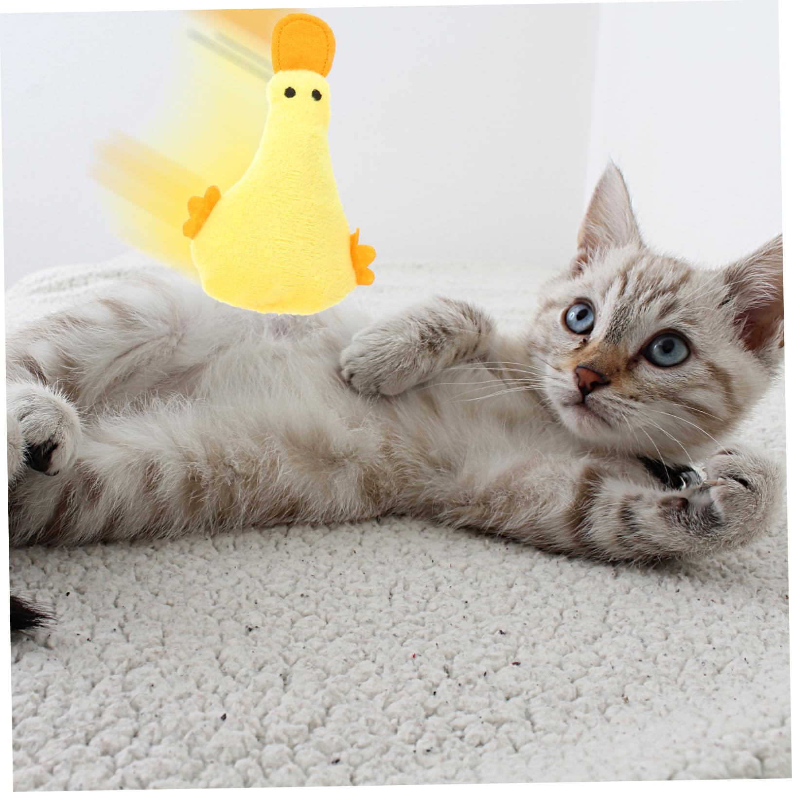 SUPVOX 20pièces Jouets Peluche pour Chats avec Cataire Jouets Amusants pour Intérieur Accessoires pour Animaux De Compagnie