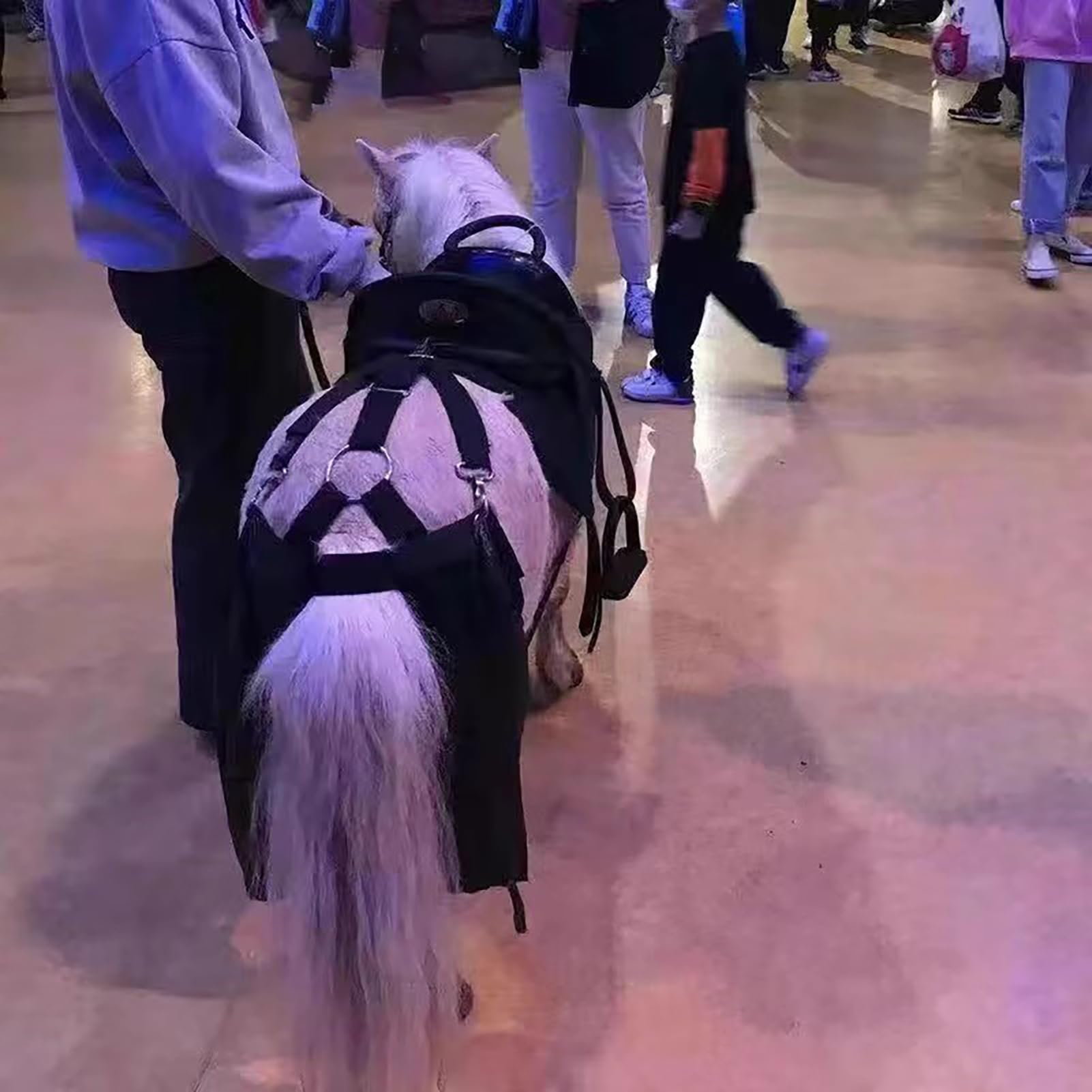 Horse Manure Bag 1 do 5 Sztuk Worek na Odchody Końskie Pieluszka Końska, Wielokrotnego Użytku Worek na Odchody Końskie dla Małych, Średnich i Dużych Koni, Obszar Jeździecki/Stajnia Pojemnik(4Pack,L)