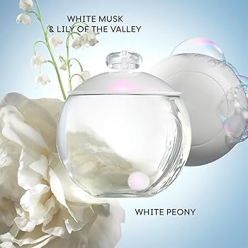 新品★CACHAREL NOA 100 ML ★キャシャレル♪♪♪ムスクの香り Amazon.com: Cacharel Noa Eau de Toilette Spray Perfume for