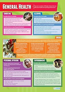Daydream Education General Health | PE Posters | Gloss Paper measuring 33â€ x 23.5â€ | Physical Education Charts for the Classroom | Education Charts