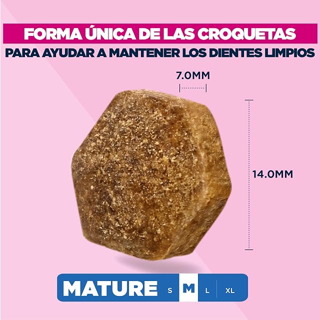 Foto 4 de 8 de Eukanuba, alimento seco para Perros con Pollo Fresco para Razas Medianas
