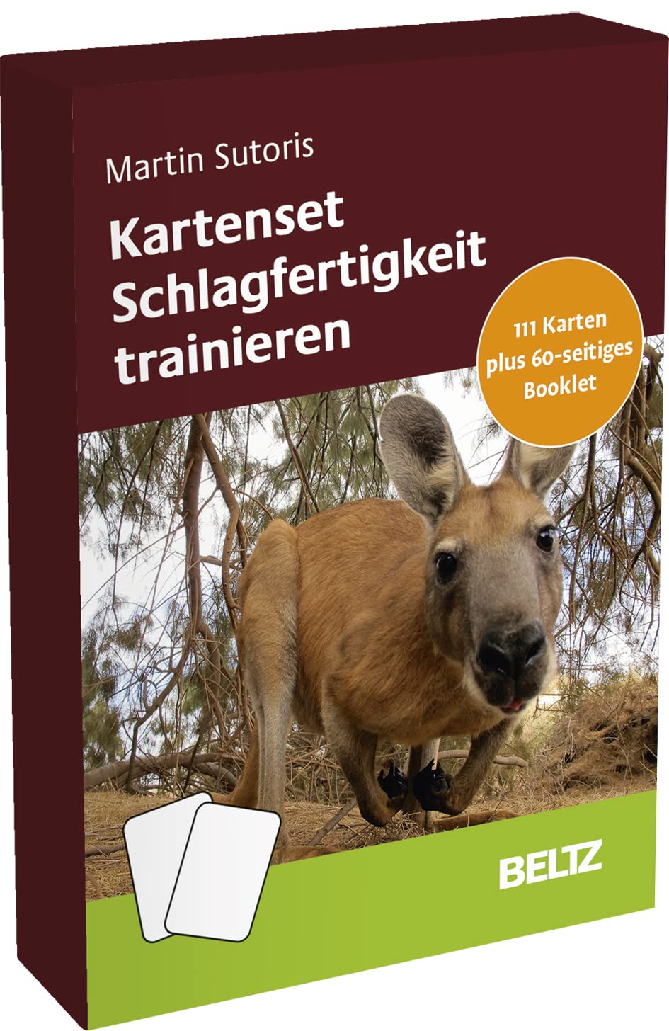 Kartenset Schlagfertigkeit trainieren: 111 Karten mit 56-seitigem Booklet (Coachingkarten)