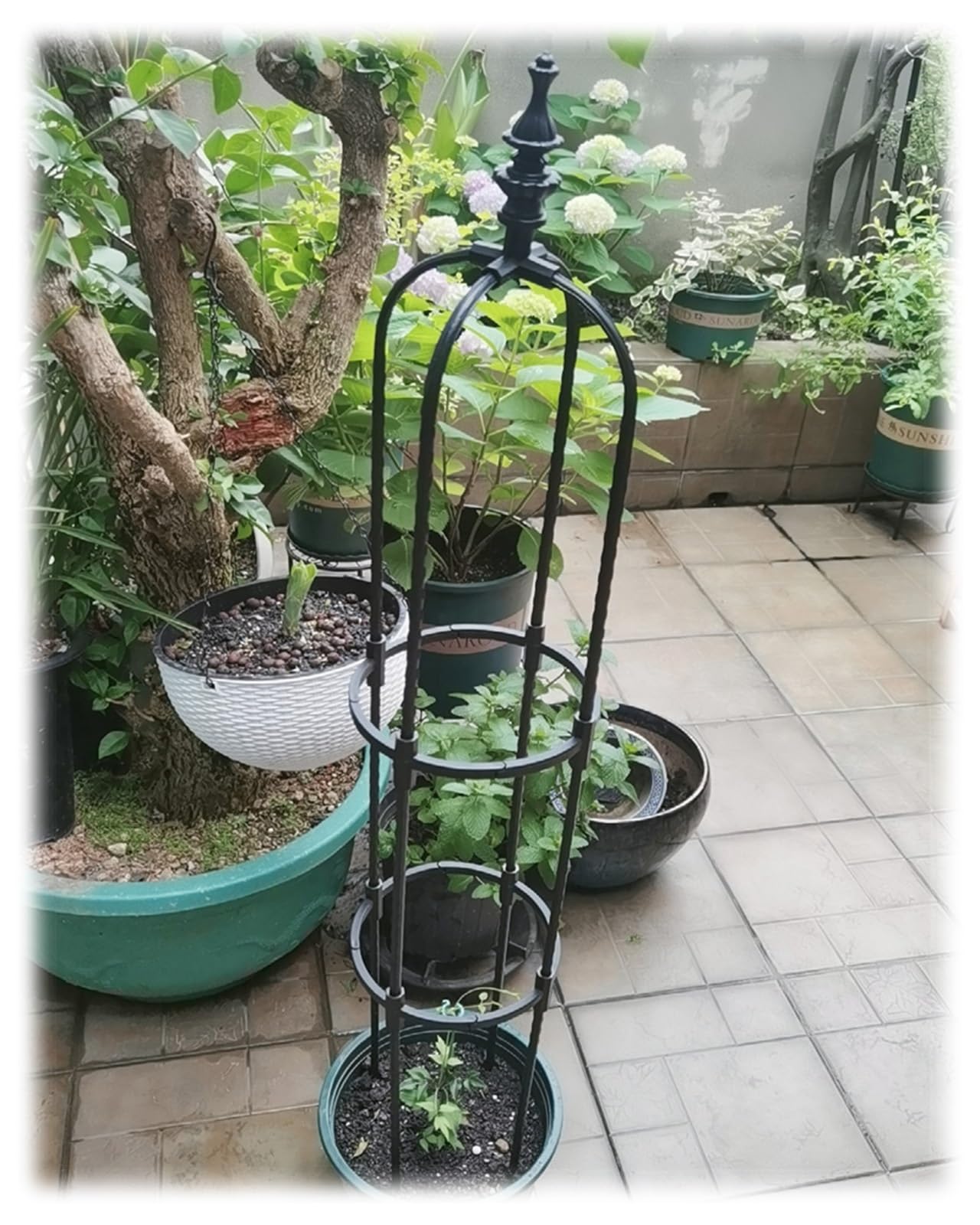 Rustic Patio Arch Garden Trellis Metal Obelisk For Supporting Climbing Plants Outdoor, Roses, Vines, Flowers, And Vegetables Tall Tower 90cm/120cm/150cm/180cm High Weather Resistant ( Color : Black ,