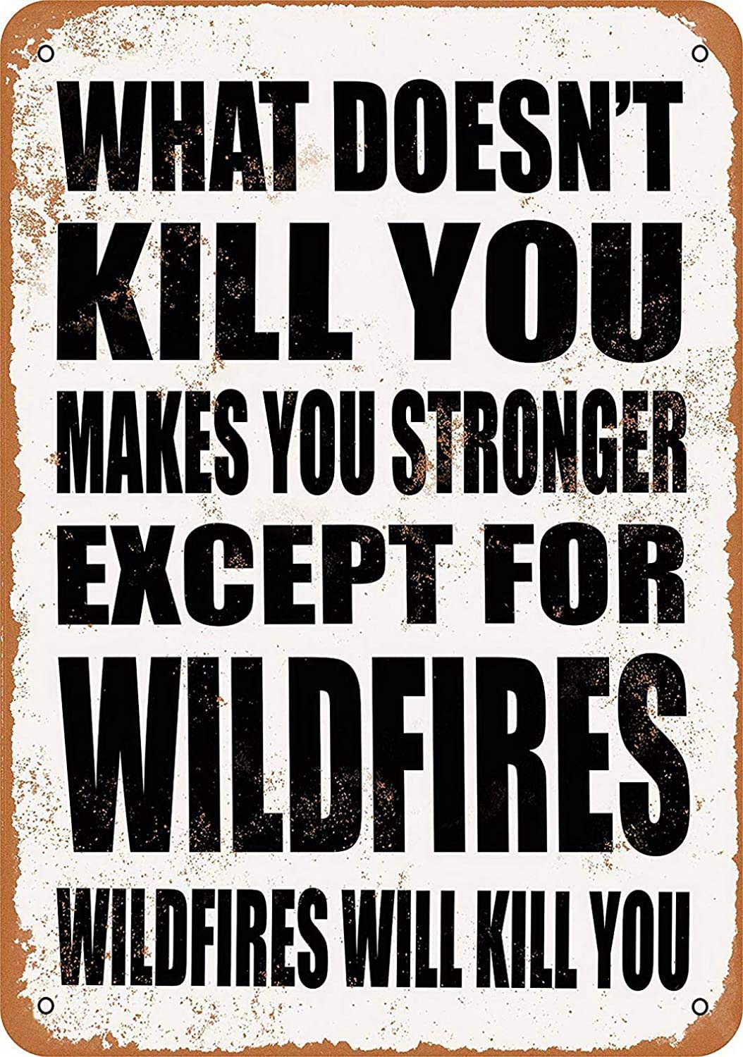 What Doesn't Kill You Makes You Stronger. Except for Wildfires. Wildfires Will Kill You. Kitchen Decor Wall Decorative Bar Tin Metal Sign Poster 8x12 Inch