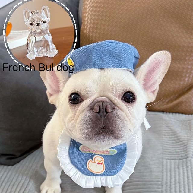 Foto 2 de 8 de realideas Llavero transparente de recuerdo de pelo de perro