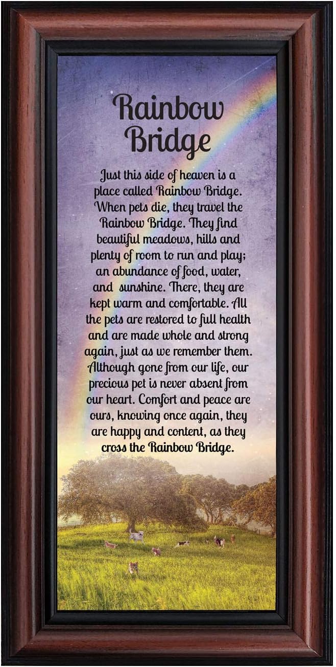 Crossroads Home Décor Rainbow Bridge Picture Frame, Dog Loss, Loss of a Pet, Loss of a Cat, Pet Memorial Picture Frame, 7414W