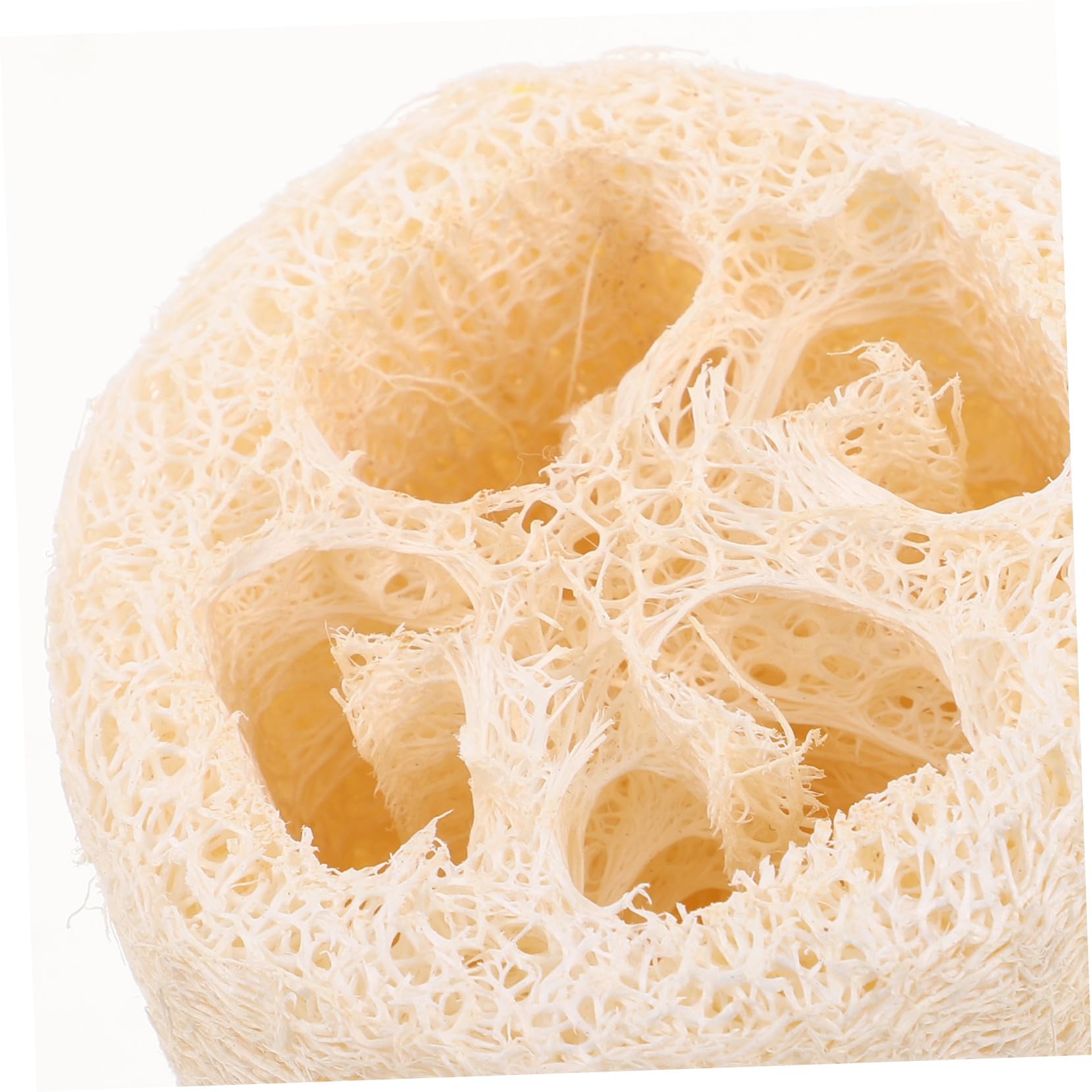 8 Piezas Esponjas Naturales de Loofah para Exfoliación Corporal y Limpieza de Cocina Esponja Orgánica Multiusos para Ducha y Fregado de Utensilios