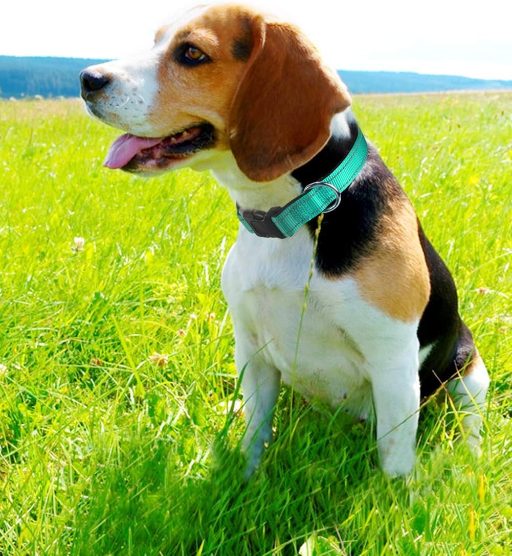 Joytale Reflective Dog Collar, Soft Neoprene Padded Breathable Nylon Pet Collar Adjustable for Small Dogs S, Teal - Image 3