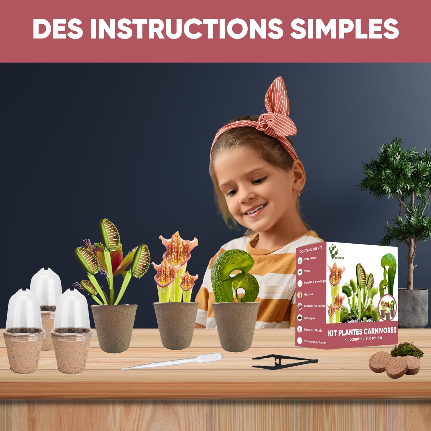 NOPALIA® Kit Plantes Carnivores Premium – Dionaea, Darlingtonia & Sarracenia – Kit Complet avec Serre, Pots, Tourbe & Sphaigne – Cadeau Insolite & Éducatif noel – DIY Jardin Intérieur – Made in France