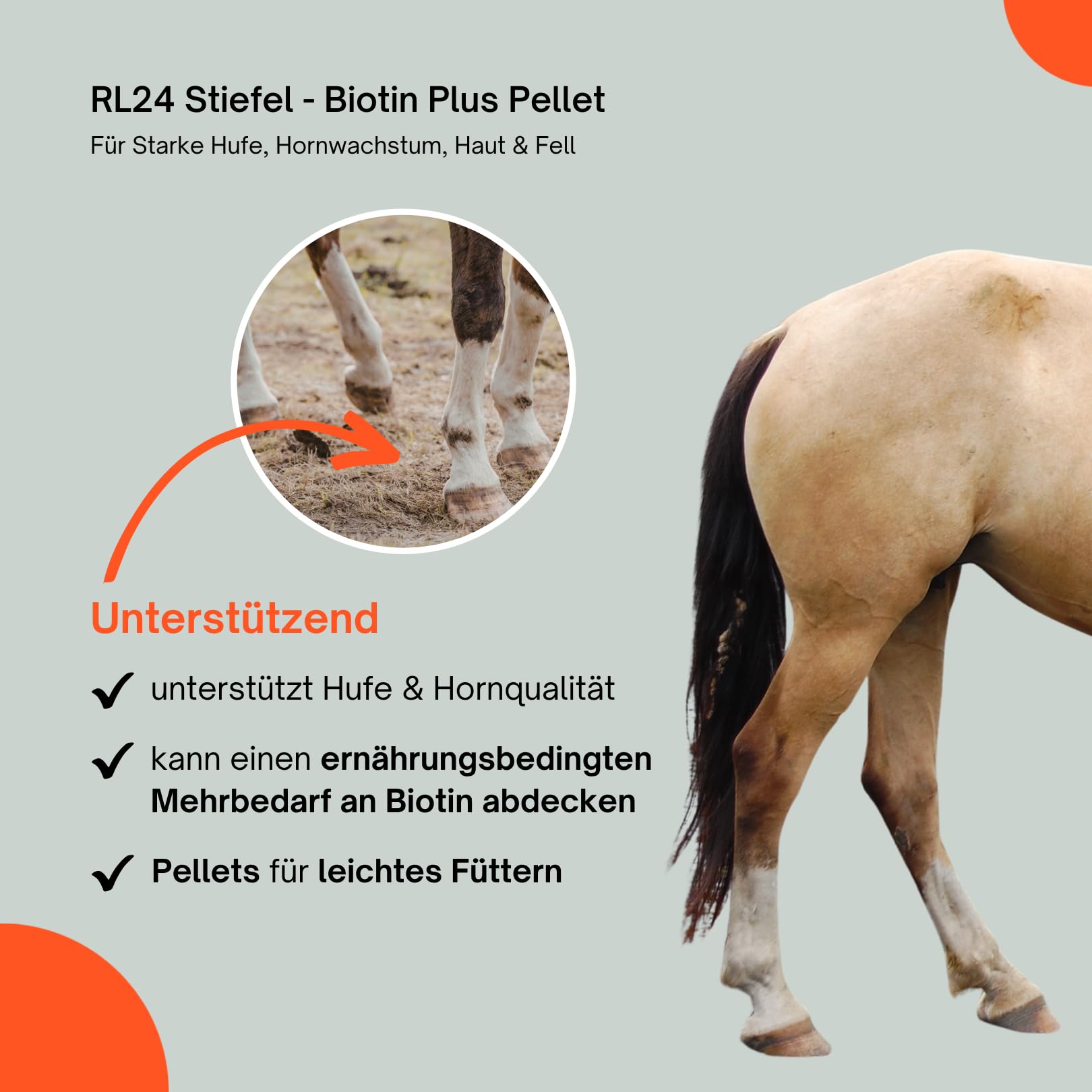 RL24 Stiefel - Biotin Plus Pellet – 2 x 1000 g Dose (2er Set) | Für starke Hufe, Hornwachstum, Haut & Fell – Ergänzungsfuttermittel mit Biotin & Zink – bei Biotinmangel & Fellwechsel