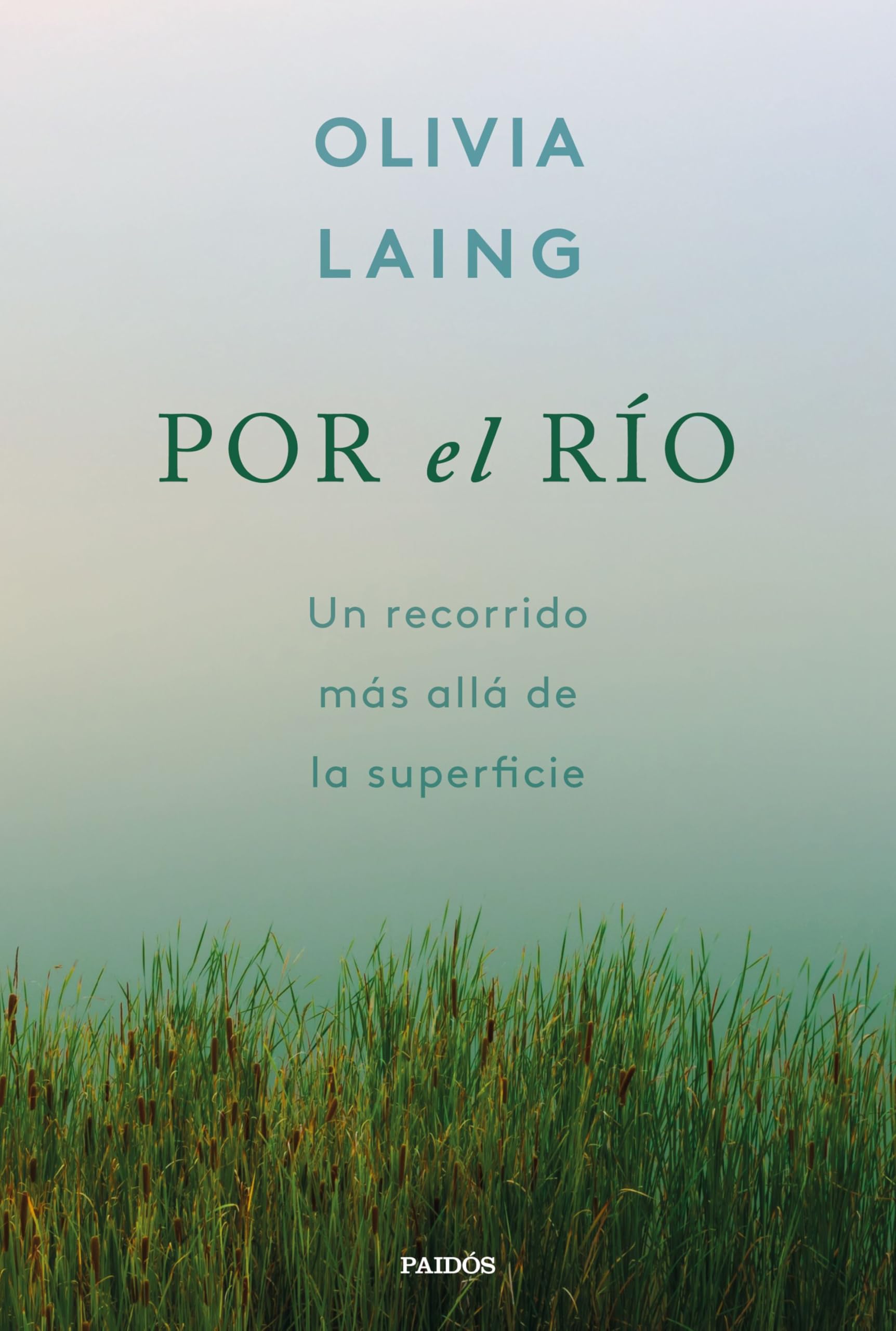 Por el río: Un recorrido más allá de la superficie (Contextos)