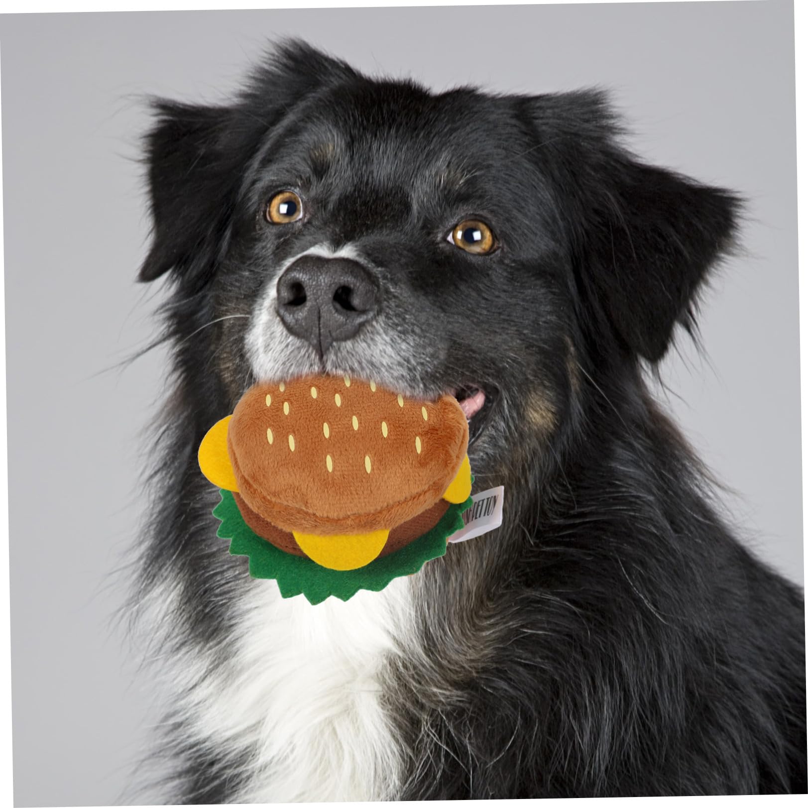 Jouet de Simulation de Nourriture pour Animaux, Chien Couineur en Peluche | Couleur Café, Dispositif Sonore Intégré, Usage pour Tirage et Secouage, Format Adapté aux Chiots