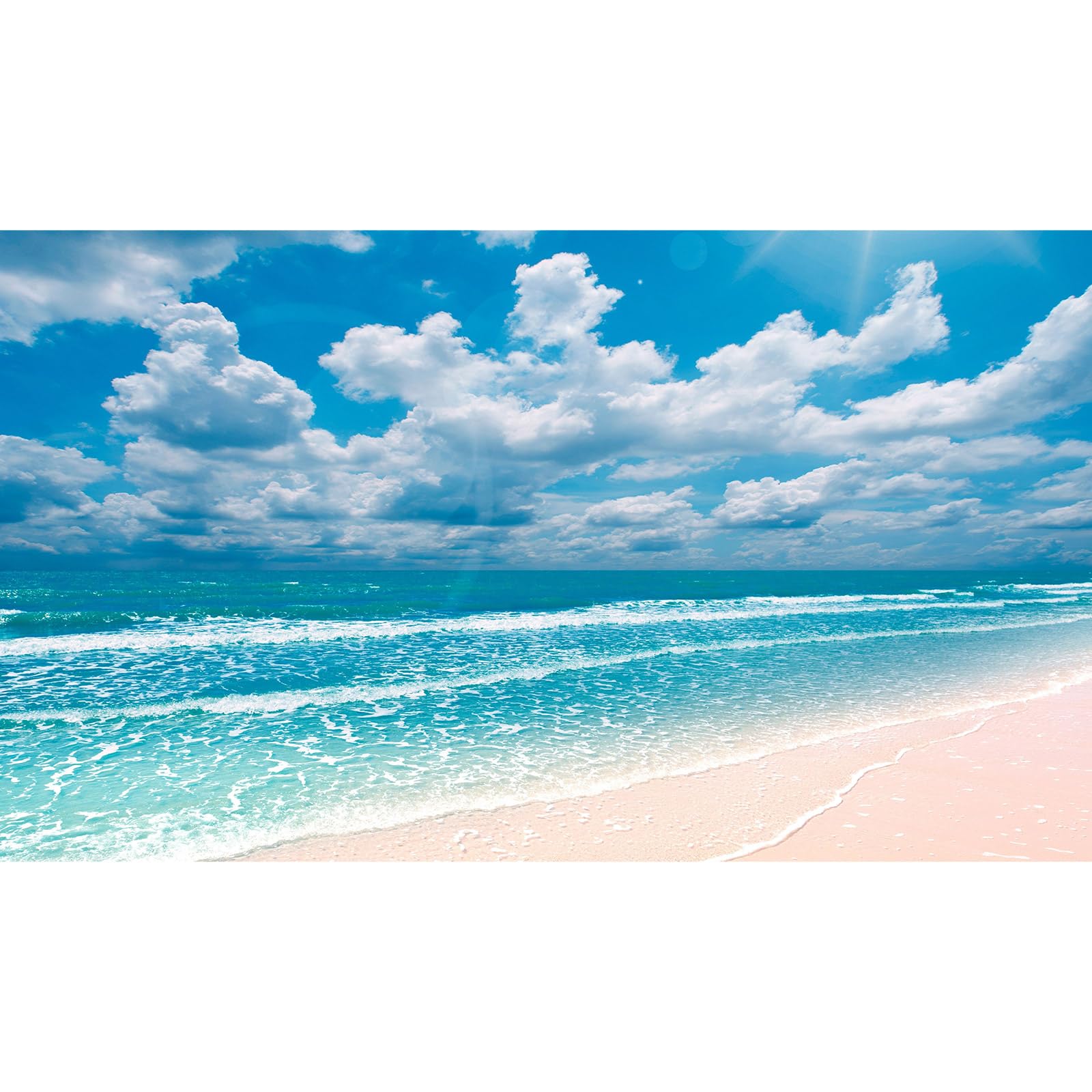 Beach Aquarium Background Sunset Peaceful Beach Fish Tank Background Ocean Seascape Blue Sky Beach Terrarium Background Amazing Seacoast Palm Trees Ocean Waves Shore Reptile Tank Background 72x24in