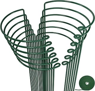 AMAGABELI GARDEN & HOME 12 Pack Plant Support Stakes, 10" W x 24" H, Heavy-Duty Half Round Peony Metal Garden Support Structures, Plant Cage for Outdoor Plants, Flower, Tomato, Hydrangea, Monstera