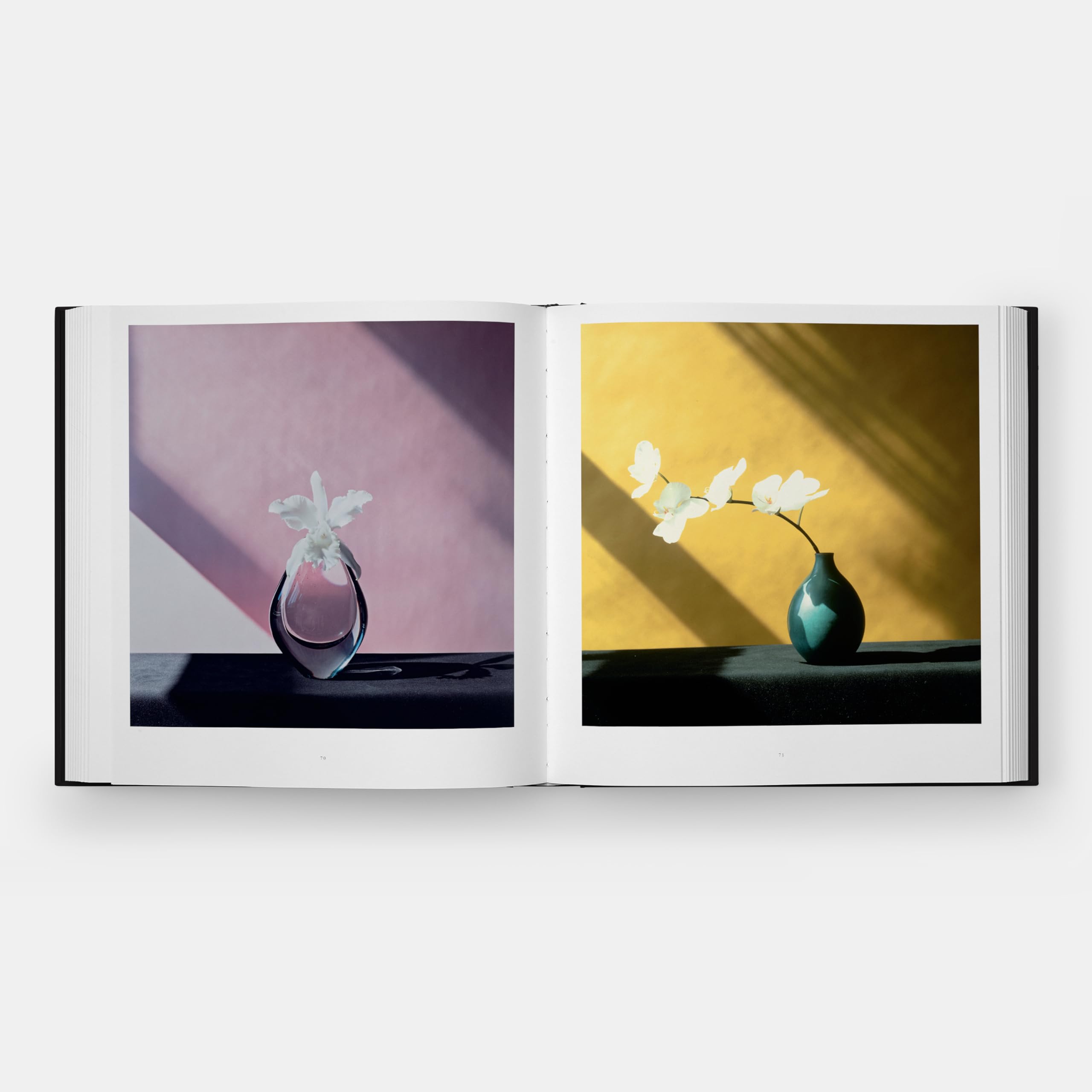 Flora: Les Fleurs de Mapplethorpe