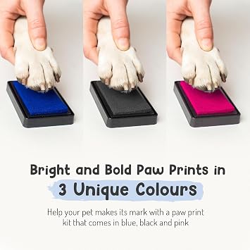 Forever Fun Times Easy-Clean Pet Paw Print Kit | Get Hundreds of Prints from One Low-Cost Paw Print Kit | 100% Safe and Pet-Friendly | No-Mess Paw Print Pad with a Choice of THREE (Big Green)