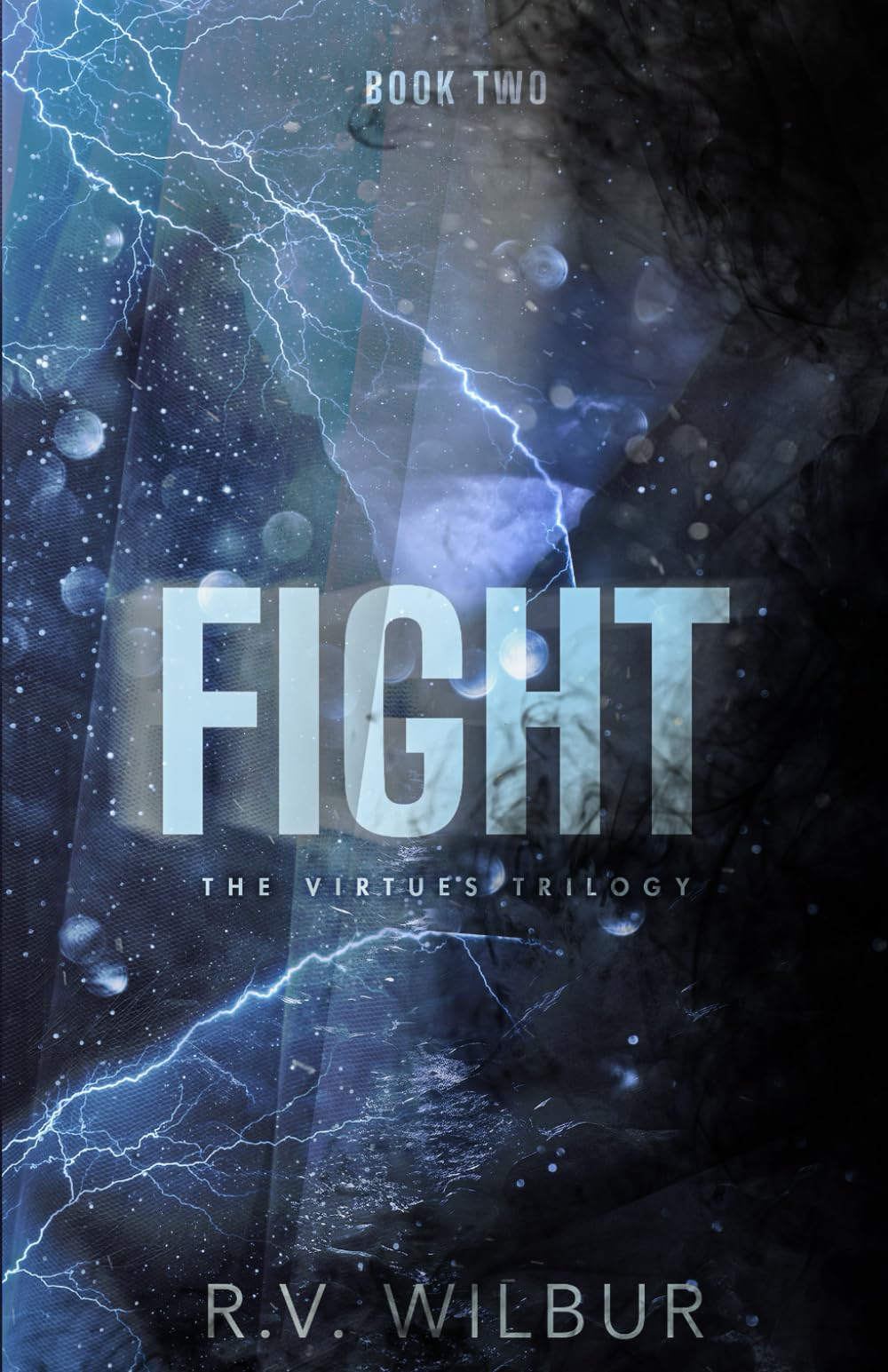 Fight: The Virtues Trilogy, Book Two