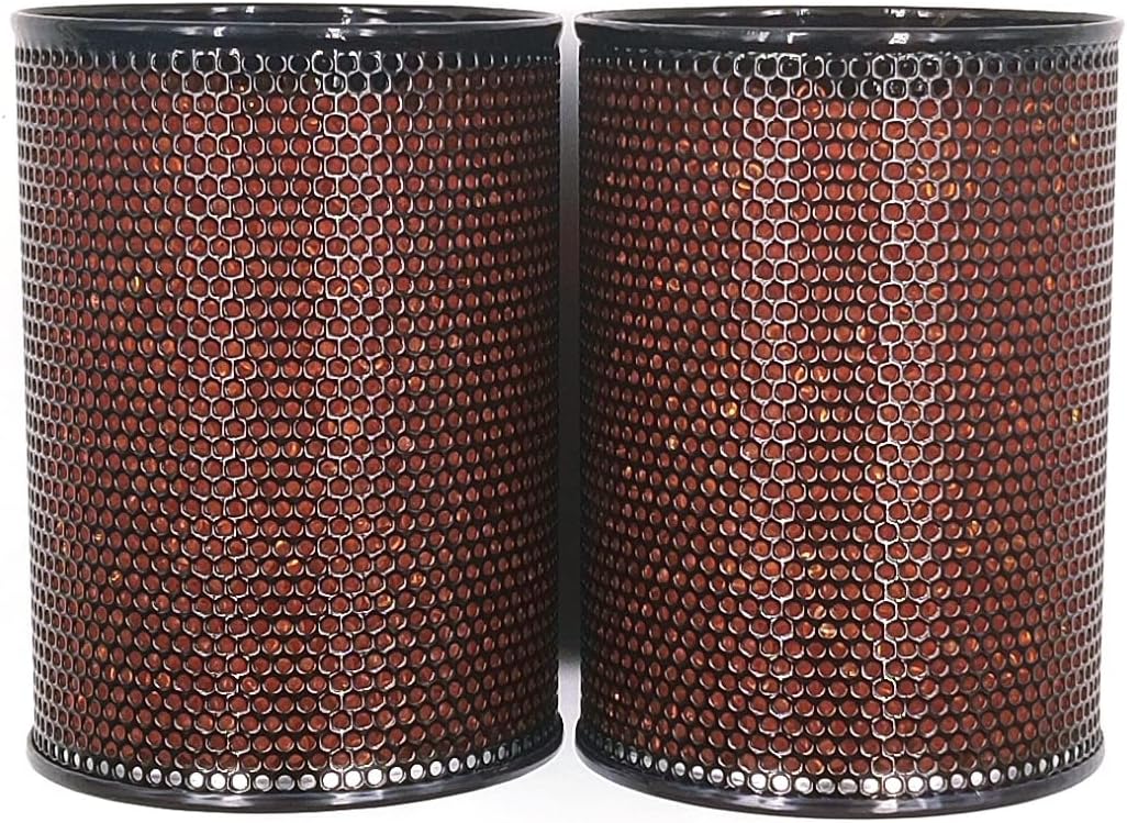 Gun Safe Dehumidifier 300g - Silica Gel Desiccant Canister, Moisture Absorber for Gun Cabinets & Safes, Protect 80 Cubic Feet, Black