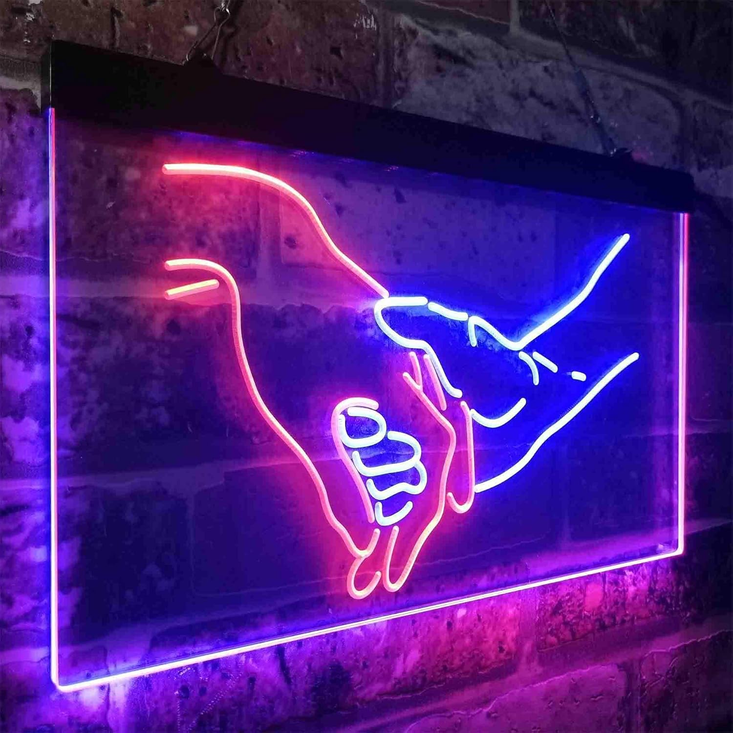 ADVPRO Please Don't Ever Let Me Go Love Hand on Hand Dual Color LED Neon Sign Red & Blue 24 x 16 Inches st6s64-i3865-rb